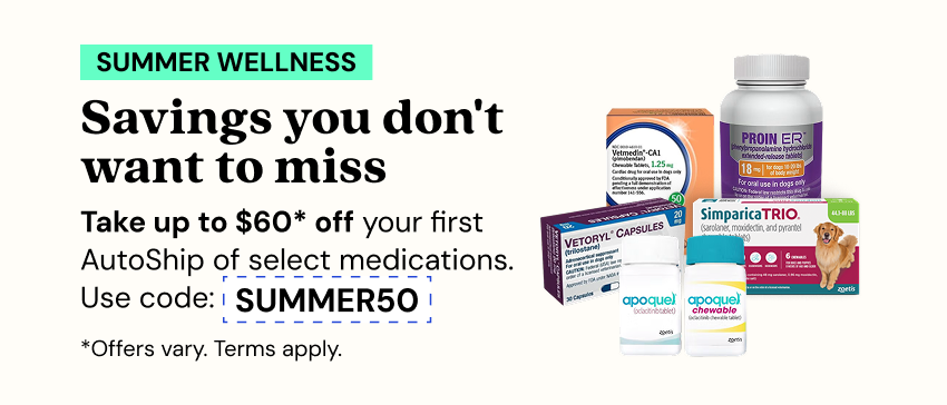 Promotions - Deals
